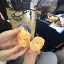 오예뮤직타운 | 울려라 사랑의 노래