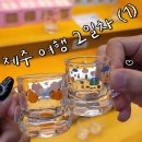 【제주 여행】 귤과 고양이로 가득했던 2일차 (1)🍊😽