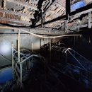 한림읍 마리 제주의소리