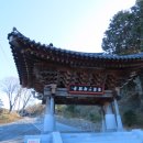 완도 신흥사 목조약사여래좌상 | [완도 여행] 남망산 자락에 자리한 사찰 '신흥사(新興寺)' 나들이