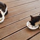 보현산자연휴양림 이미지