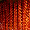 선바우농장 이미지