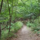 팔용초등학교 이미지