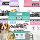 요술강아지 이미지