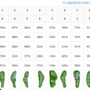 탑스크린골프존 이미지