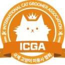 뽀득냥 이미지