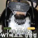 강남지루성두피염관리 WT메소드강남점에서 체계적이고 꼼꼼한 두피관리 받고 온 후기