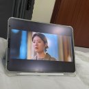 슈슈엔지아 이미지