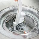 화이트부러쉬 이미지