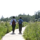 백두산화원 이미지