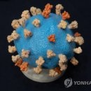 (주)준메디슨 이미지