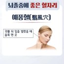 가람정 이미지