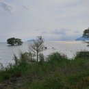 바다가 따로 있나, 이곳이 바다로다 ~ 일본제일의 호수 비파호 일주 기행록(4) 이미지