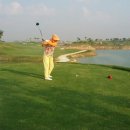 블루스타 이미지