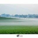 정희목장 이미지