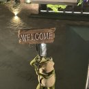 썬레코드(SUN RECORD) 이미지