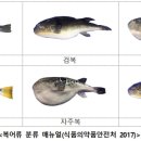 유통복어 이미지