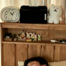 맨밥에 명란을 올렸을 뿐인데...요리라고 할 수 있나효
