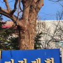미진제화