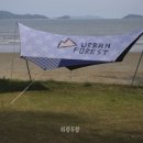 포레스트 하랑