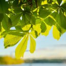 옥정 생태숲공원 이미지