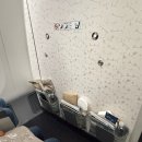 [호주]인천-&gt;브리즈번 대한항공 탑승후기(기내식/입국심사/엑스트라레그룸/직통열차)