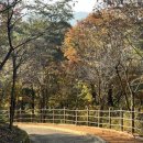 성주봉자연휴양림 이미지