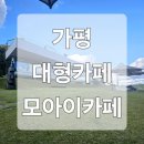 대형카페 추천] 모아이카페 - 반려동물 동반 가능, 잔디밭으로 사진 찍기 좋은 베이커리카페 내돈내산 후기