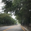 양지초등학교+부안초등학교 이미지