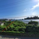 삼춘네민박 이미지