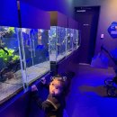 주차29 | 아쿠아플라넷 광교🌊티켓할인 주차, 29개월 아기랑 솔직후기, 볼거리