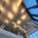 이호웨이브 이미지