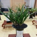 경신유통 이미지