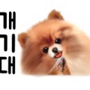 은밀하개위대하개 이미지