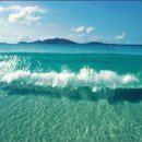 덤밸런스 요가 이미지