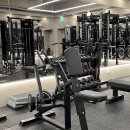 LIKE PT STUDIO 상도2호점 | NEW 기구 입고 안내 :: 짐레코 시티드로우 :: 상도역PT :: LIKE PT STUDIO