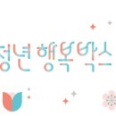 청년박스