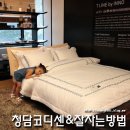 청담코디센 - 용인시 처인구 금령로 36 | 청담코디센