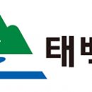 태붐로 네이버블로그
