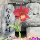 강남대로6길 18 이미지