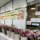 장성 꽃 화원 이미지