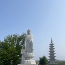 통일기원 미륵대불 이미지