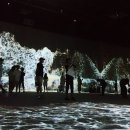 아르떼뮤지엄 이미지