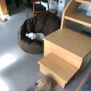 크로스핏 한옥(중화산센터) 이미지