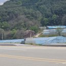 월운리 마을회관 이미지