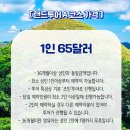보홀 육상투어 랜드투어 코스 현지 보자무싸 내돈내산 추천 후기