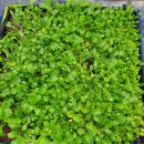 기로(여)경로당 이미지