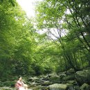 행현1리 마을회관 이미지