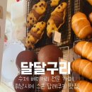 달달구리 이미지