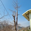 천덕산로 이미지